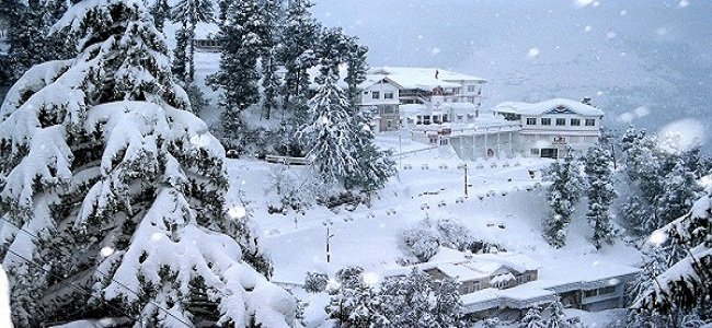 Traveltoexplore Shimla Package