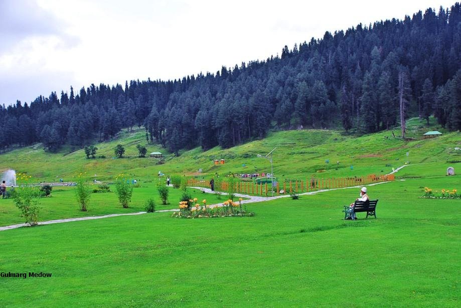 Traveltoexplore Gulmarg Package